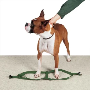 Casual Canine Nylon 2 Step Harness 25-40In Green
