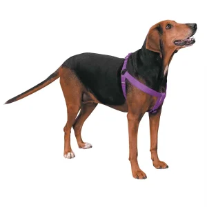 Casual Canine Nylon 2 Step Harness 25-40In Purple