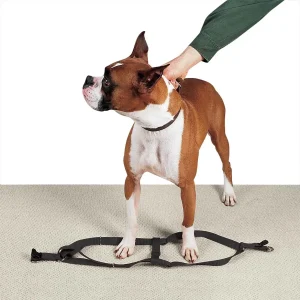 Casual Canine Nylon 2 Step Harness 9-15In Black
