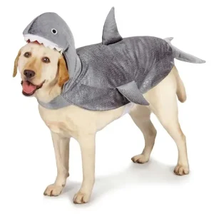 Casual Canine Shark Costume M