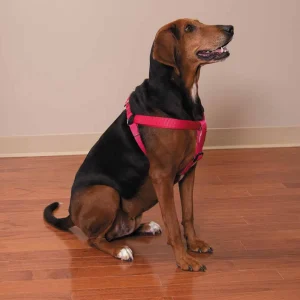Casual Canine Two-Step Harnesses