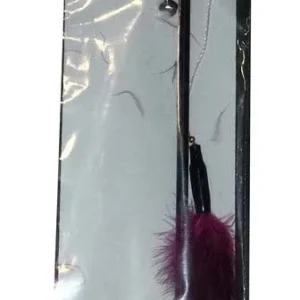 Cat Claws Wand Wacky Wand Cat Toy Assorted