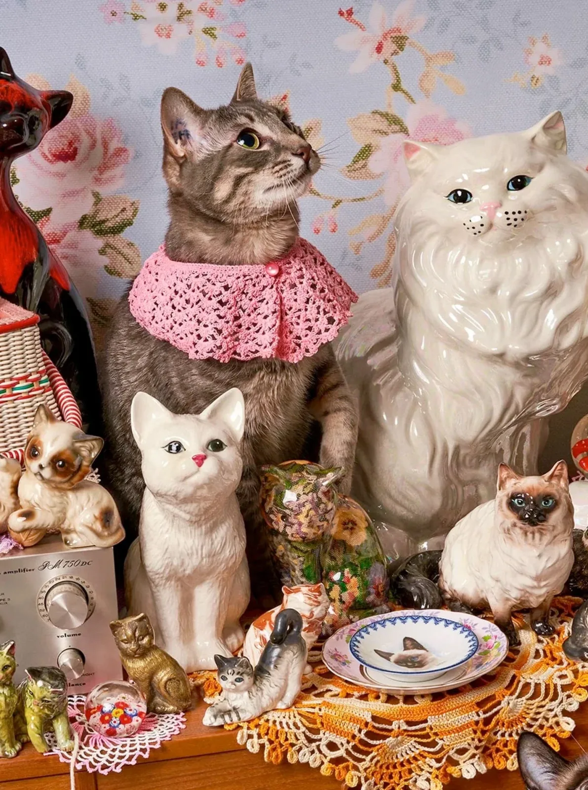 CAT PERSON PUZZLE - Image 2