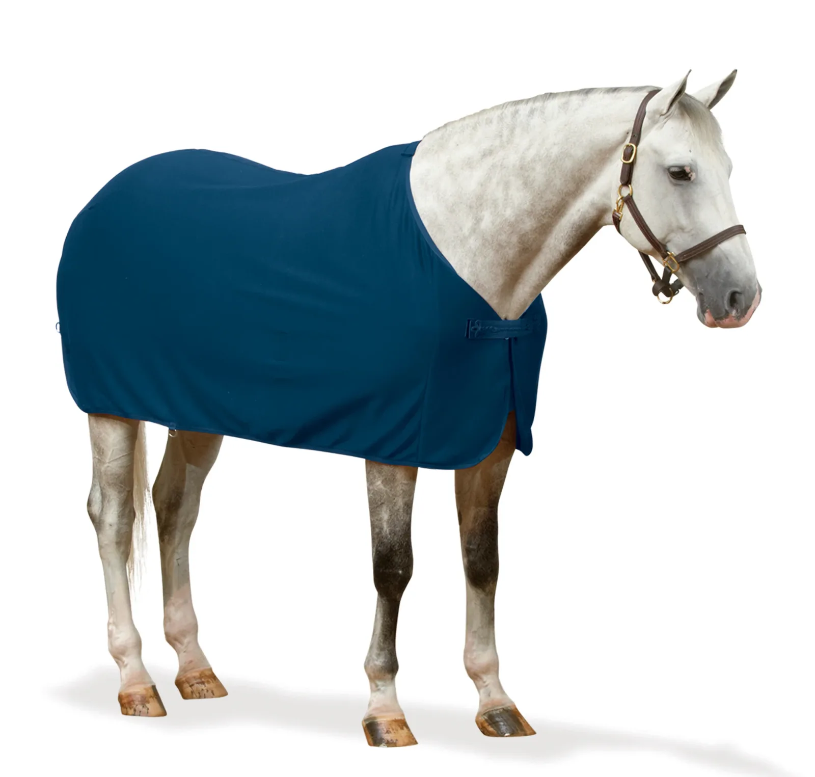Centaur® Turbo-Dry™ Dress Cooler with Braid