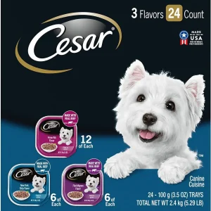Cesar Canine Cuisine Gourmet Filets Multi-Pack Wet Dog Food - 3.5 oz - Case of 24