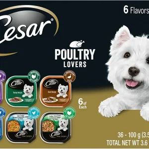 Cesar Canine Cuisine Poultry Pack Multi-Pack Wet Dog Food - 3.5 oz - Case of 36