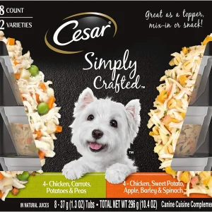 Cesar Simply Chicken, Carrots, Sweet Potato and Apple Multi-Pack Wet Dog Food - 3.5 oz - Case of 16