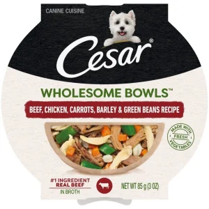 Cesar Wholesome Bowls Beef Chicken, Green Bean, Carrot, Barley Wet Dog Food - 3 oz - Case of 10