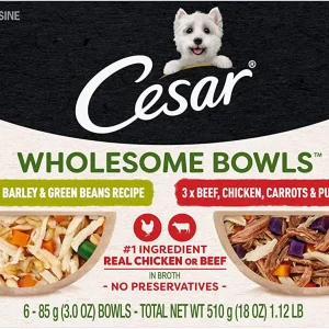 Cesar Wholesome Bowls Multi-Pack Chicken and Beef Wet Dog Food - 2/6 Pack