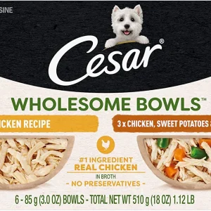 Cesar Wholesome Bowls Multi-Pack Chicken Wet Dog Food - 2/6 Pack