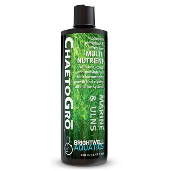 Chaeto Gro Chaetomorpha - (250 ml) - Brightwell