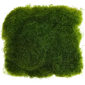 Chaeto (Spaghetti Algae) Chaetomorpha - By The Pound