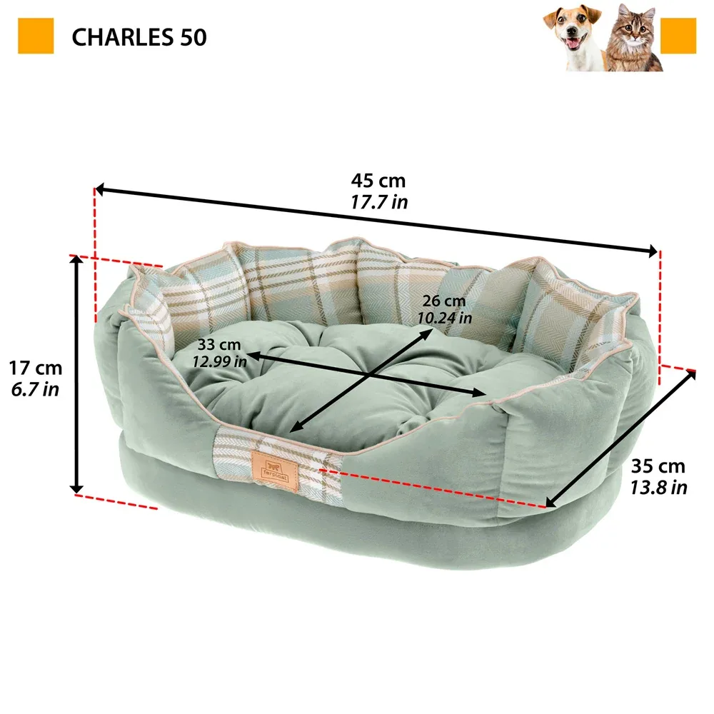 CHARLES - Image 2