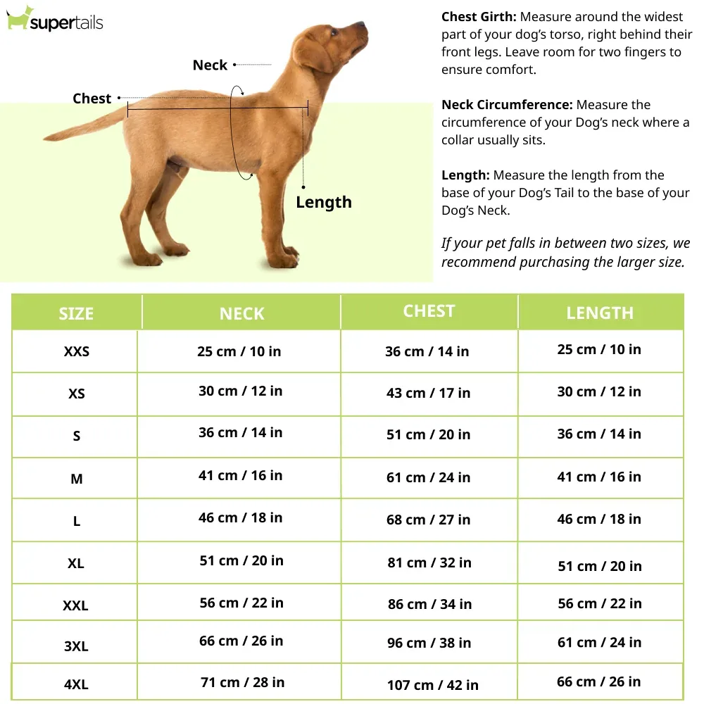 Chennai Supaw Kings ipl Jersey for Dogs and Cats | Indian Pet League - Image 2