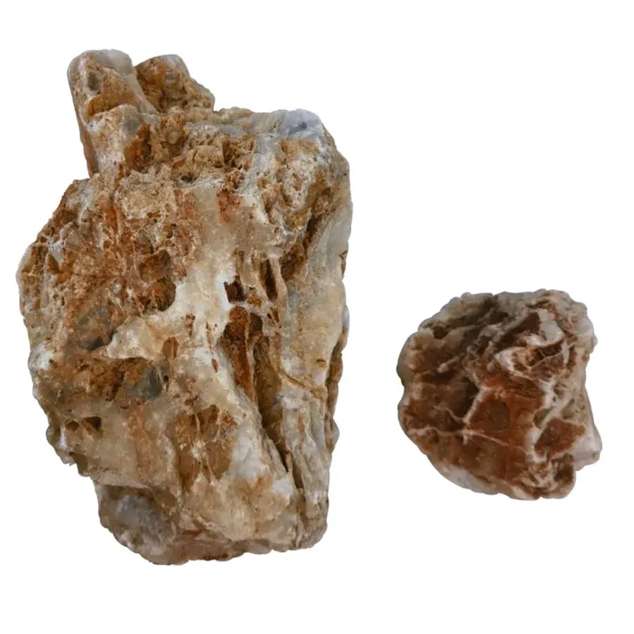 Chicken Bone Stone (44 lbs) Freshwater Rock - IceCap