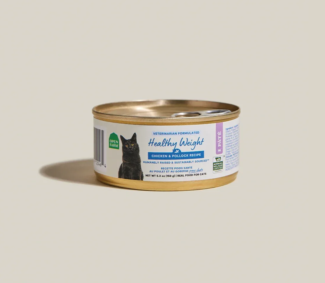 Chicken & Pollock Healthy Weight Pâté for Cats - Image 2