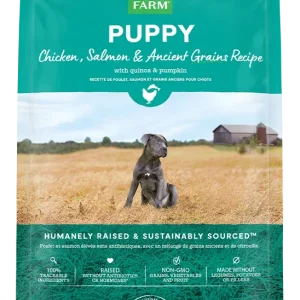 Chicken & Salmon Ancient Grains Puppy Kibble