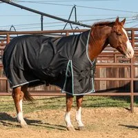 Classic Charcoal 5k Trainer Hooded Winter Horse Blanket - Image 2