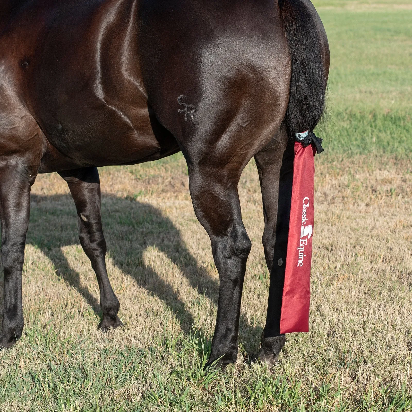 Classic Crimson Red Tail Bag - Image 2