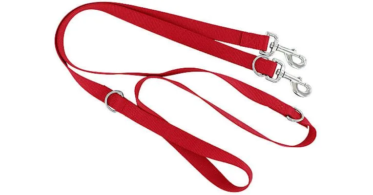 Clean Run Blue-9 Multi-function & Double-Connection Leashes - 6ft