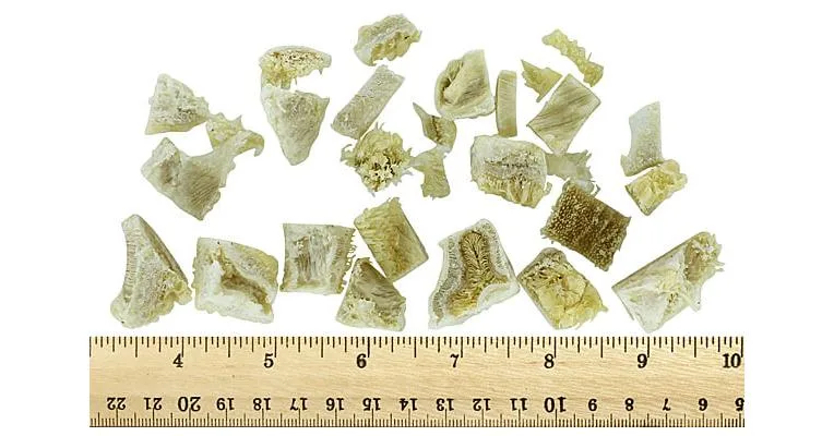 Clean Run Bonus Bites Training Treats - Diced Clean Beef Tripe, 4 oz.