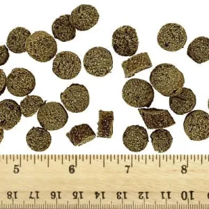 Clean Run Boo Boo's Best Superfood Nuggets - Salmon, 3.6 oz.