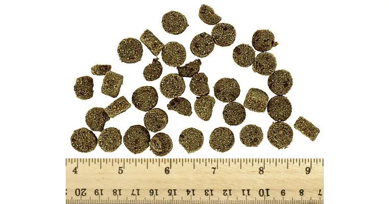 Clean Run Boo Boo's Best Superfood Nuggets - Turkey, 3.6 oz.
