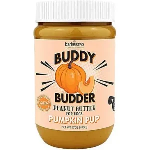 Clean Run Buddy Budder Peanut Butter - Pumpkin Pup, 17 oz. Jar
