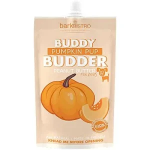 Clean Run Buddy Budder Peanut Butter - Pumpkin Pup, 4 oz. Squeeze Pack