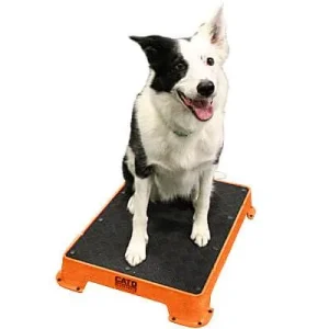 Clean Run Cato Board Training Platform - Rubber Surface