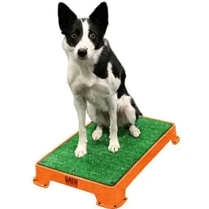 Clean Run Cato Board Training Platform - Turf Surface