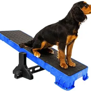 Clean Run Cato Plank XL Training Platform with Tilt Stand