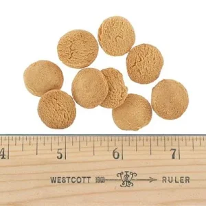 Clean Run Charlee Bear Dog Treats - Cheese and Egg, 1 lb.