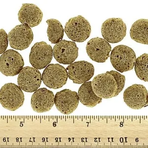 Clean Run Charlee Bear Grain-Free Crunch Dog Treats - Bacon and Blueberry, 8 oz.