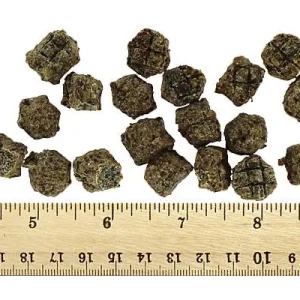 Clean Run Icelandic+ Soft & Chewy Bites - Beef, Plum & Kelp, 2.82 oz.