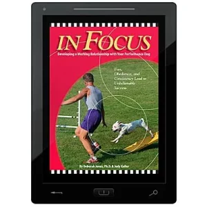 Clean Run In FOCUS E-Book