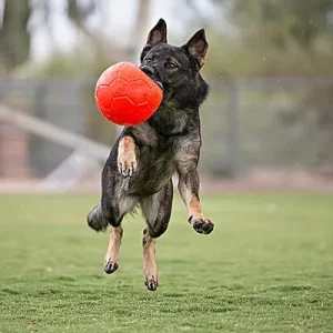 Clean Run Jolly Soccer Balls - Regular