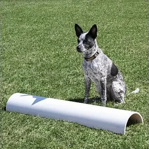 Clean Run Jump Bumps - PVC