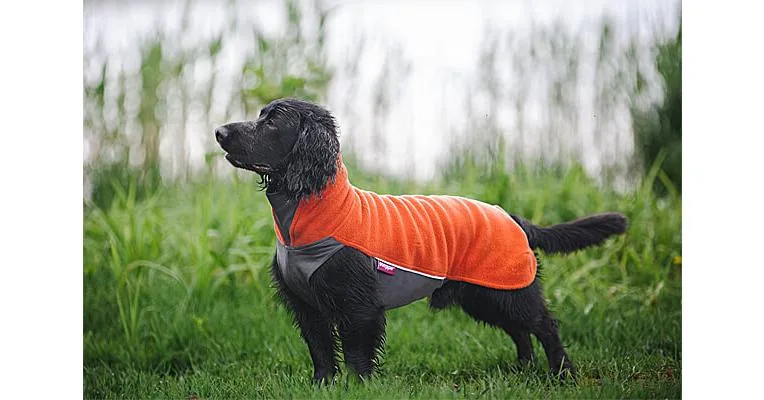 Clean Run Jumppa Pomppa Fleece Dog Shirts