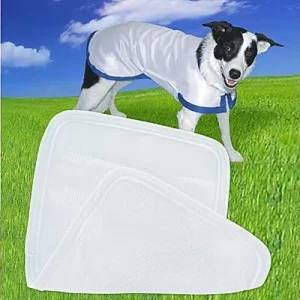 Clean Run K9 Cool Coat Replacement Belly Band