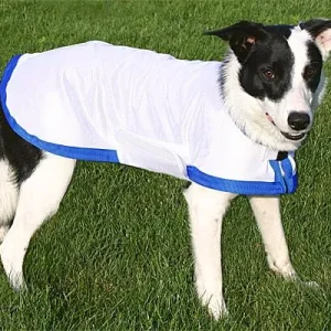 Clean Run K9 Cool Coats