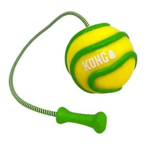 Clean Run Kong High-Viz Bunji Ball