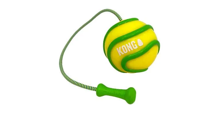 Clean Run Kong High-Viz Bunji Ball
