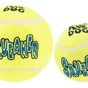 Clean Run Kong Squeaker Balls