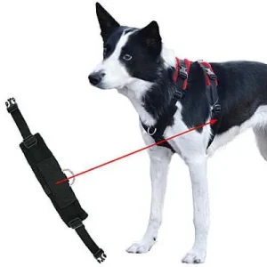 Clean Run Perfect Fit Modular Fleece-Lined Harness - Part 1, Girth Strap