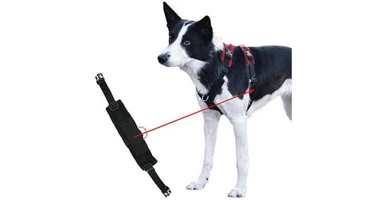 Clean Run Perfect Fit Modular Fleece-Lined Harness - Part 1, Girth Strap