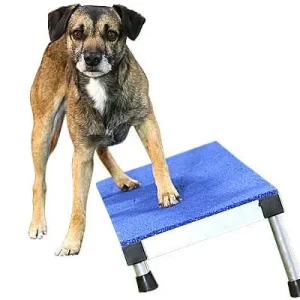 Clean Run VersaFit Plank