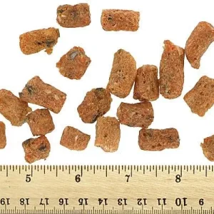 Clean Run Vital Essentials Freeze-Dried Raw Treats - Salmon Bites, 2.5 oz.