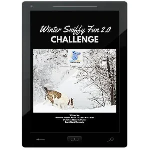 Clean Run Winter Sniffy Fun 2.0 Challenge E-Book