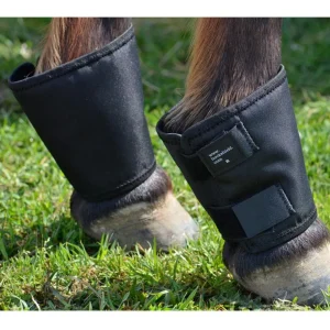 Click Horse Products Fetlock Shields
